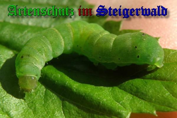 Copyright AiS / 2009 Albert Meier Bild zum Eintrag (23846-160)