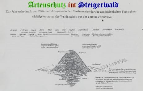 Bild zum Eintrag (23948-160)