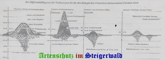 Copyright AiS / Stratmann Bild zum Eintrag (23951-160)