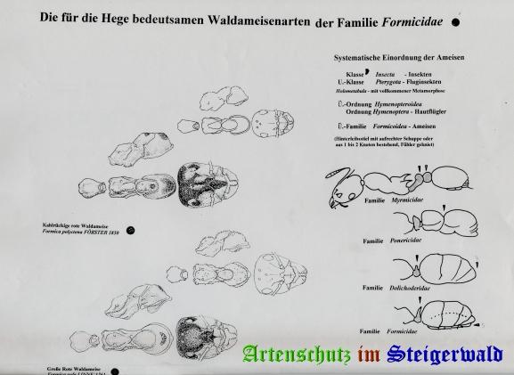 Copyright AiS / Stratmann Bild zum Eintrag (23957-160)