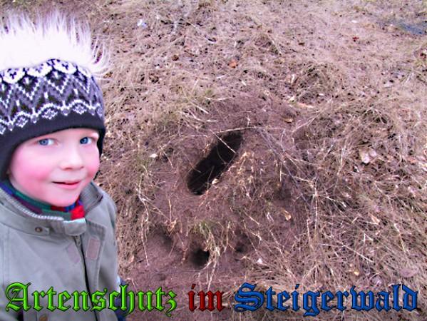 Copyright AiS / 2010 Greb Bild zum Eintrag (23966-160)