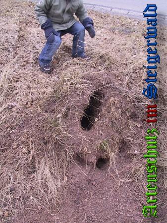 Copyright AiS / 2010 Greb Bild zum Eintrag (23967-160)