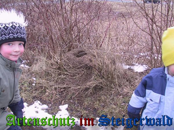 Copyright AiS / 2010 Greb Bild zum Eintrag (23969-160)