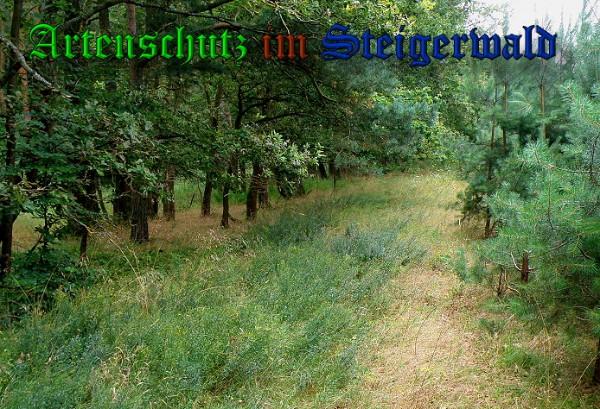 Copyright AiS / 2010 Albert Meier Bild zum Eintrag (23994-160)