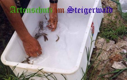 Copyright AiS / Köhler Bild zum Eintrag (24056-160)