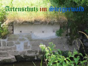 Copyright AiS / 2008 Bild zum Eintrag (24084-160)