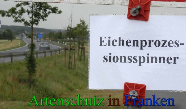 Copyright AiS- Albert Meier Bild zum Eintrag (25522-160)