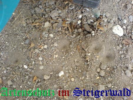 Copyright AiS / Chris Wolf Bild zum Eintrag (25529-160)