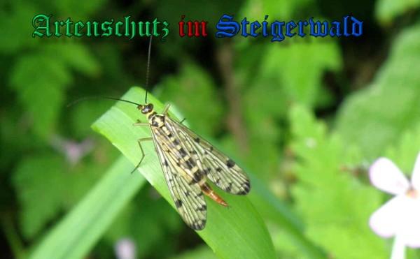 Copyright AiS / 2009 Albert Meier Bild zum Eintrag (28000-160)
