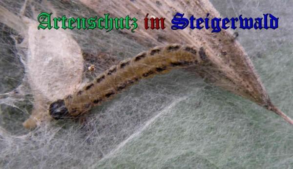 Copyright AiS / 2009 Albert Meier Bild zum Eintrag (28009-160)