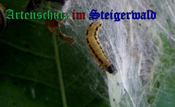 Copyright AiS / 2009 Albert Meier Bild zum Eintrag (28010-160)