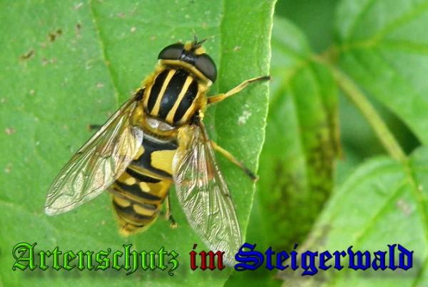 Bild zum Eintrag (28086-160)