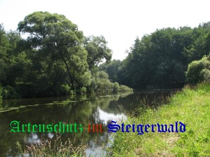 Copyright AiS / 2008 Österreichische Gesellschaft für Herpetologie Bild zum Eintrag (29163-160)