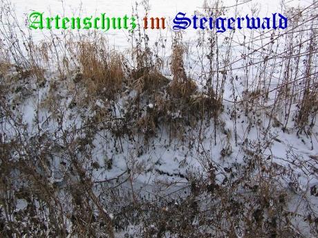 Copyright AiS / 2009 - Kunze Bild zum Eintrag (30422-160)