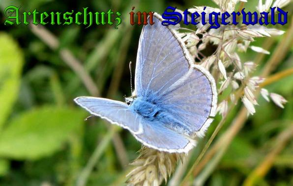 Copyright AiS- Albert Meier Bild zum Eintrag (31762-160)