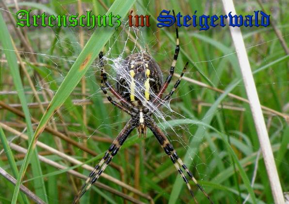 Copyright AiS- Albert Meier Bild zum Eintrag (32033-160)
