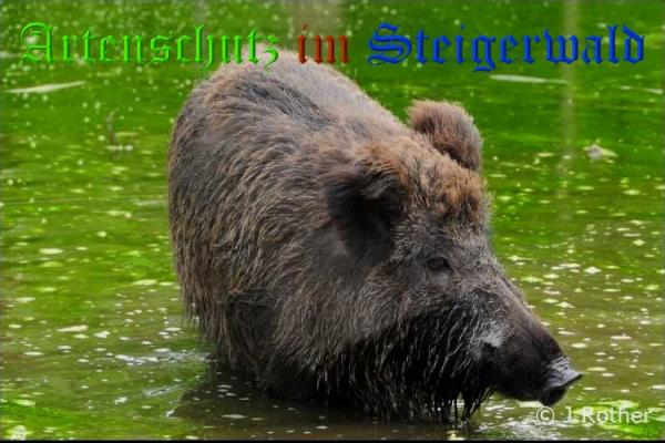 Bild zum Eintrag (32465-160)