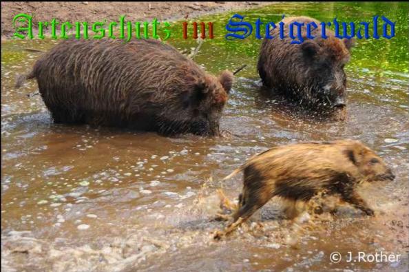 Bild zum Eintrag (32469-160)