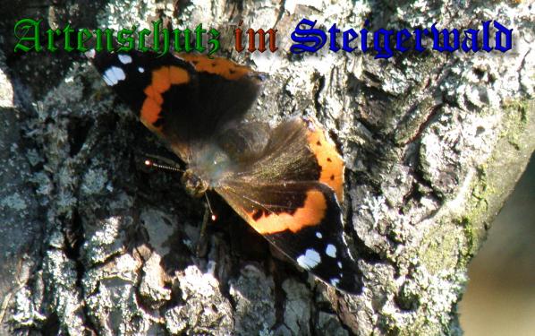 Copyright AiS- Albert Meier Bild zum Eintrag (32622-160)