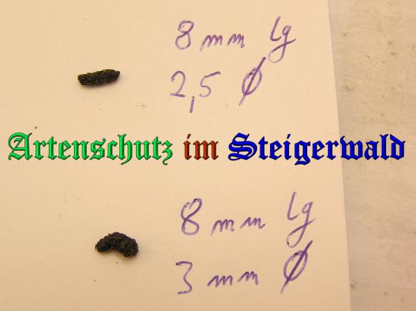Copyright AiS . Kunze Bild zum Eintrag (33097-160)