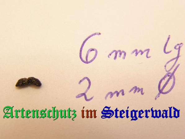 Copyright AiS - Kunze Bild zum Eintrag (33098-160)