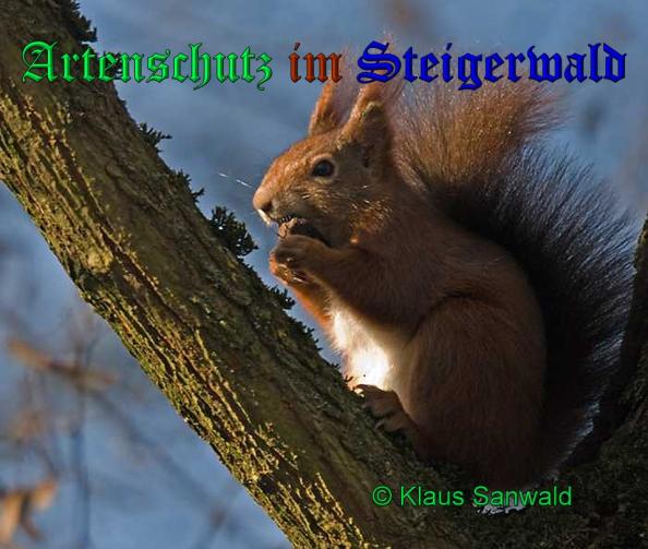 Copyright AiS - Klaus Sanwald Bild zum Eintrag (33173-160)