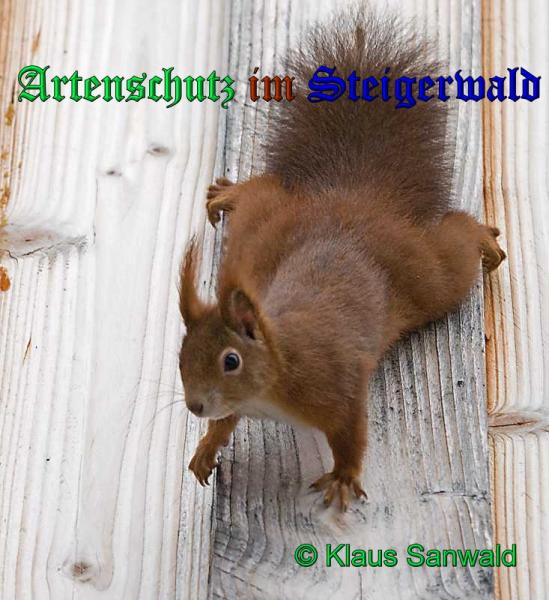 Copyright AiS-Klaus Sanwald Bild zum Eintrag (33174-160)