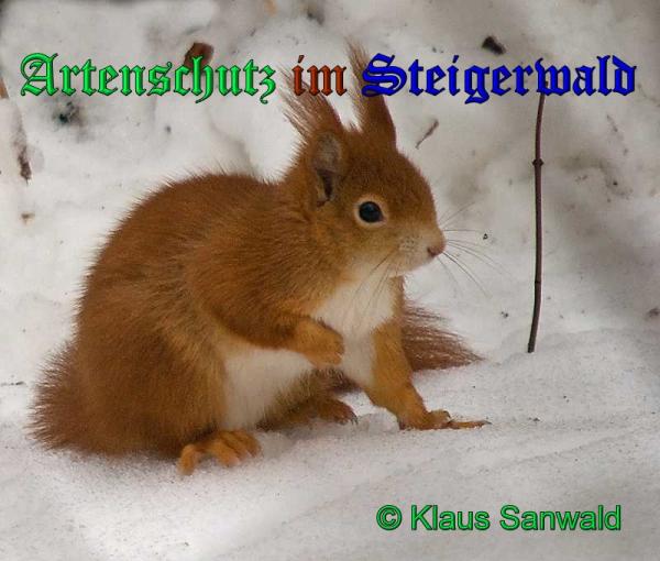 Copyright AiS-Klaus Sanwald Bild zum Eintrag (33175-160)
