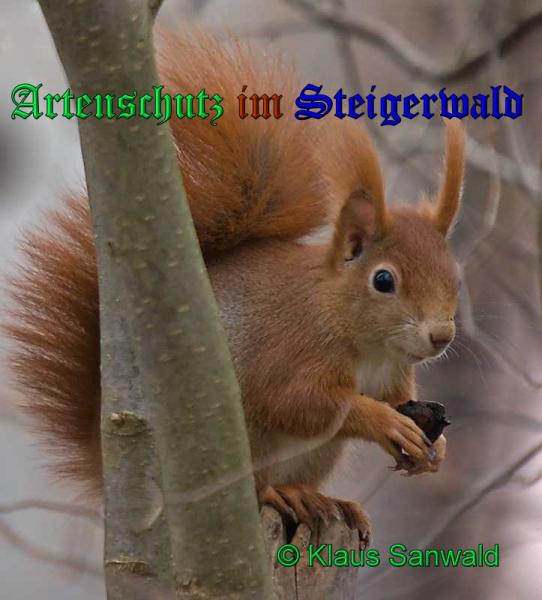 Copyright AiS-Klaus Sanwald Bild zum Eintrag (33176-160)