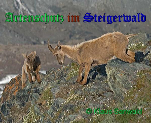 Copyright AiS-Klaus Sanwald Bild zum Eintrag (33180-160)