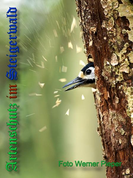 Copyright AiS - Werner Pieper Bild zum Eintrag (33491-160)
