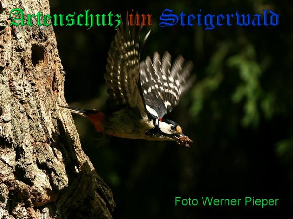 Copyright AiS - Werner Pieper Bild zum Eintrag (33492-160)