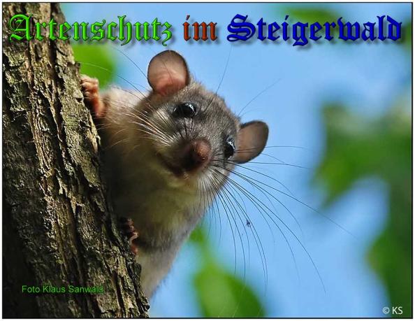 Copyright AiS-Klaus Sanwald Bild zum Eintrag (34202-160)