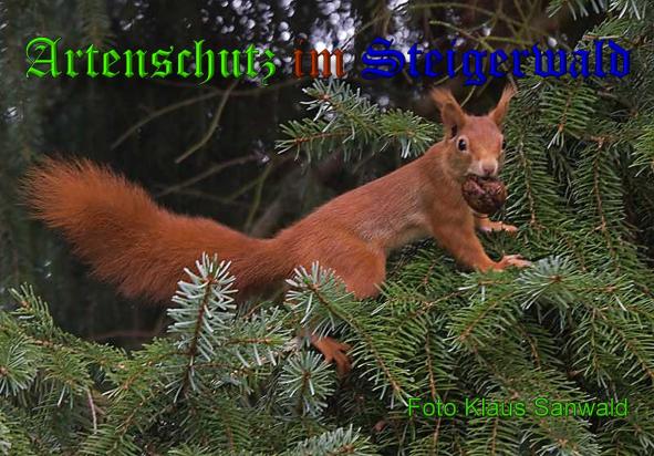 Copyright AiS - Klaus Sanwald Bild zum Eintrag (34228-160)