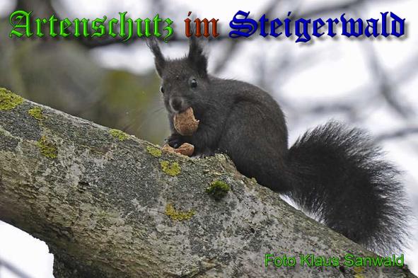 Copyright AiS - Klaus Sanwald Bild zum Eintrag (34229-160)
