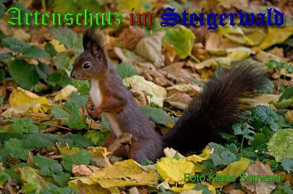 Copyright AiS - Klaus Sanwald Bild zum Eintrag (34230-160)