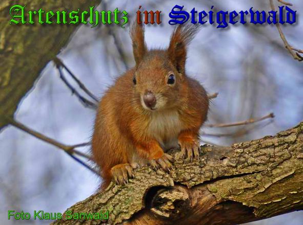 Copyright AiS - Klaus Sanwald Bild zum Eintrag (34231-160)