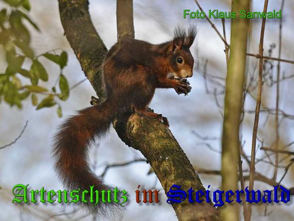 Copyright AiS - Klaus Sanwald Bild zum Eintrag (34232-160)