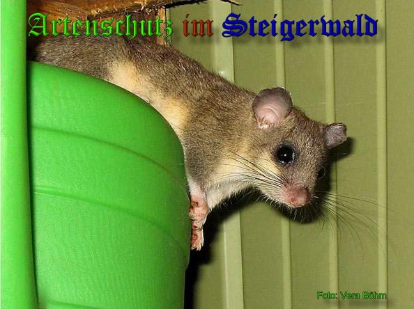 Copyright AiS - Vera Böhm Bild zum Eintrag (34246-160)