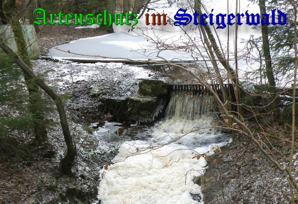 Copyright AiS- Albert Meier Bild zum Eintrag (34825-160)