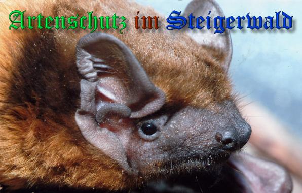 Copyright AiS- Stratmann Bild zum Eintrag (34944-160)
