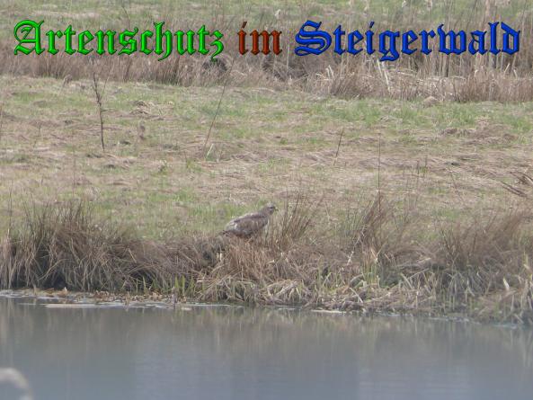 Bild zum Eintrag (35865-160)