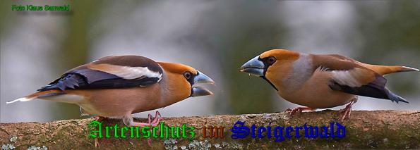 Bild zum Eintrag (36432-160)