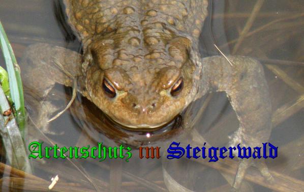 Copyright AiS- Albert Meier Bild zum Eintrag (36457-160)