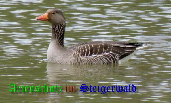 Copyright AiS- Bild zum Eintrag (36737-160)
