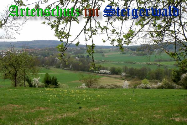 Copyright AiS- Albert Meier Bild zum Eintrag (36790-160)