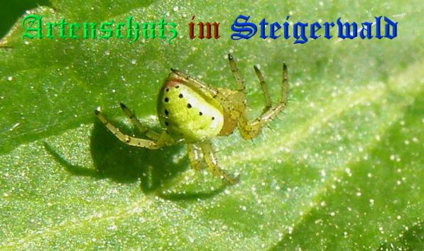 Copyright AiS- Albert Meier Bild zum Eintrag (37083-160)