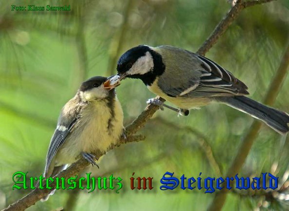 Copyright AiS-Klaus Sanwald Bild zum Eintrag (39191-160)