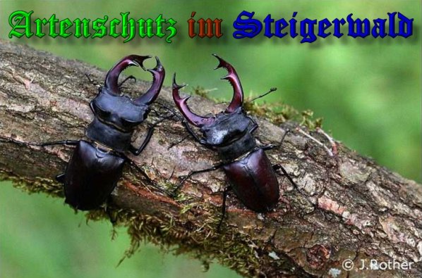 Copyright AiS-Johannes Rother Bild zum Eintrag (39379-160)