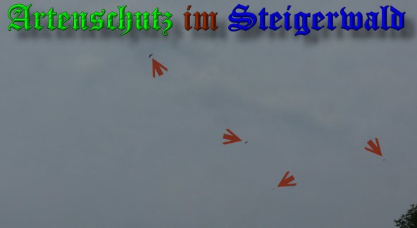 Copyright AiS-Tasch Bild zum Eintrag (39583-160)